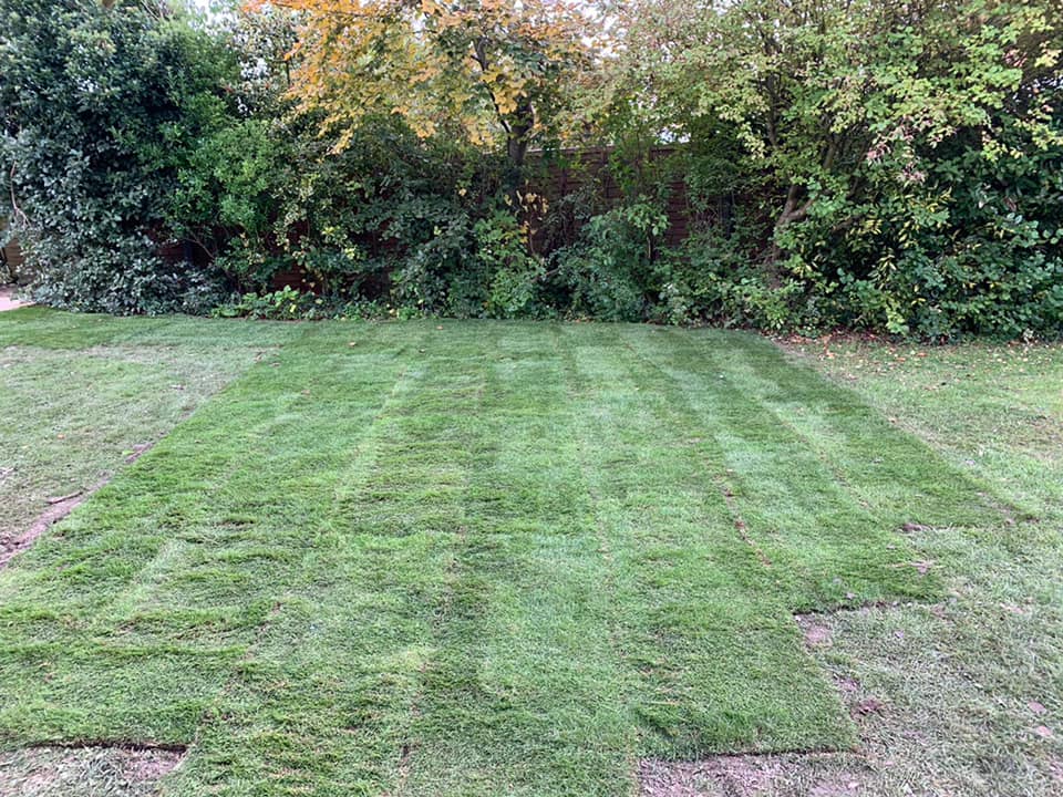 Turf Laying